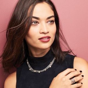 Stainless Steel and Gold Layered Necklace